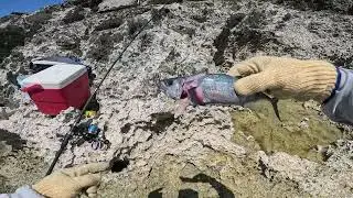 Naftan to Banzai: EPIC Cliff Fishing Adventure!