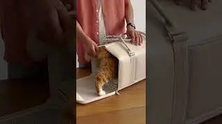 I don't know if my cat is JUST WEIRD, but he loves his carrier.