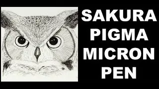 Owl Drawing Demo   Sakura Pigma Micron Pen