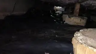 CJ el creador insulation