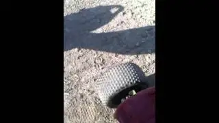 Best rustler tips