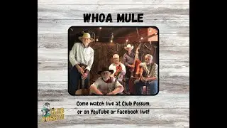 Whoa Mule Live at Club Possum