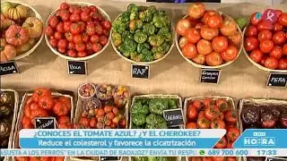 Variedades, trucos y virtudes del tomate que todo extremeño debería conocer | A esta hora
