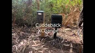 Cuddeback XChange vs Reconyx HF2X