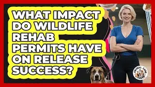 What Impact Do Wildlife Rehab Permits Have On Release Success? - Animal Care Jobs