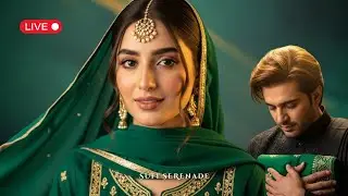 Sufi Qawwali Live | Deep Spiritual Love & Mystic Serenity