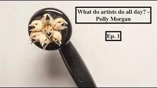 What do artists do all day? - Polly Morgan Ep. 1/2