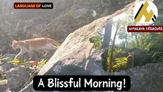 Angata&rsquo;s Blissful Morning