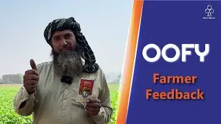 OOFY Results on 35 Acres | Weak Crop Growth Completely Recovered in Faisalabad Agrotree Lifescience