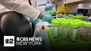 Students spend part of summer doing cancer research at Albert Einstein College of Medicine