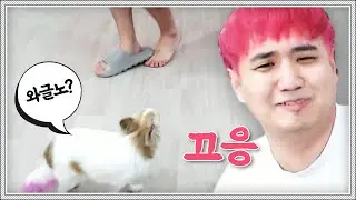주인 니 와그러노?