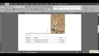 Word-2016: Format text paragraphs and sections
