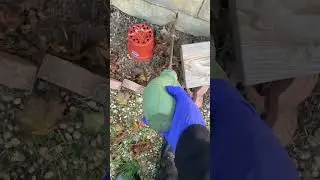 The secret of the pests control with the magic delta dust residue.
