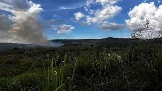 Será esse o lote dos nossos sonhos? Viagem pela Transamazônica, até chegar ao lote! 