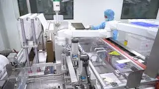 Surgical Gloves Factory - Your Trusted Partner for Premium Medical Gloves Manufacturing