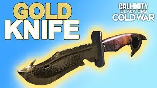 Road To Dark Matter: How to unlock Gold Knife (Black Ops Cold War)