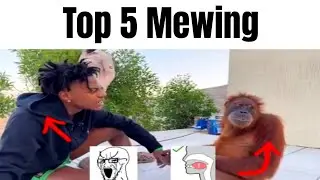 top 5 mewing.. (bye bye)