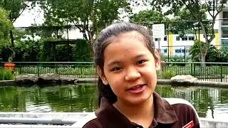 Sustainability @ Tampines Park Dunman Secondary School Video Tour