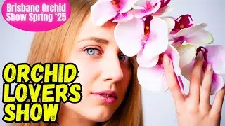 Queensland Orchid Society Spring Show 2025 | Vibe of Brisbane