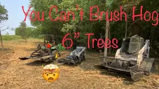 Extreme Brush Hogging 6” trees, Tractor, Bobcat and mini loader