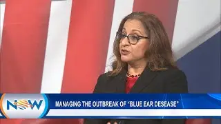 Managing The Outbreak Of 