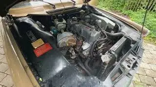 ROVER P6