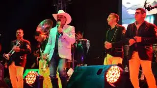 SI YO FUERA LADRÓN, 