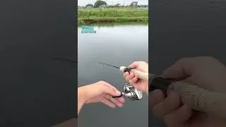 【TROUT FISHING】 DS Bevy vib ＃Full brown DAYSPROUT 2023 9 18   HD 1080p