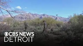 Search continues in Arizona for clues in Nancy Guthrie case