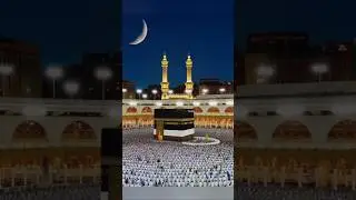 #quotes #shortquotes #islamicquotes #viral #viralshorts #youtubeshorts #trendingshorts #islamic