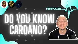 What is Cardano and how does it work?