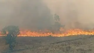 Residents flee as wildfire heads for Melbourne