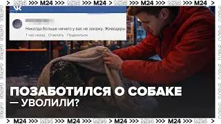 Позаботился о собаке &mdash; уволили? | Скандал вокруг Додо