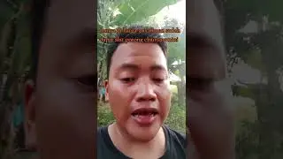 review chainsaw mini portebel dari zper