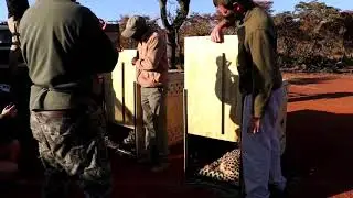 Cheetah Relocation