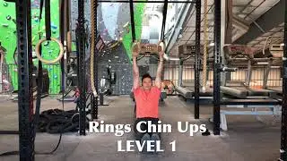 Rings Chin Ups Progression