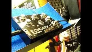 Echosex2&deg; on BASS with Domenico Loparco part.2