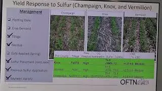 Sulfur? For Soybeans? Yep!