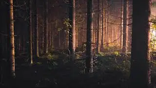 Airstream - Land of Dreams (Escape Mix) 1 Hour