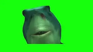 Finding Nemo Shark | Green Screen
