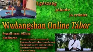 &Iacute;n Izom Velő Torna bemutat&oacute;, Wudangshan Online T&aacute;bor