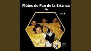 La brianzola