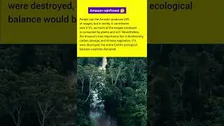 Amazon rainforest 🤔#trending #gkearth #youtubeshorts #shorts #explore #english #rainforest