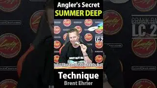 SUMMER DEEP Technique