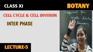 CELL CYCLE & DIVISION | INTERPHASE | BOTANY CLASS XI