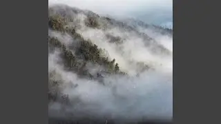 Beautiful Mist