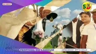 FESTIVAL DU LADOUM : CEREMONIE OFFICIELLE