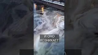 По каналам Питера плывёт ледяное САЛО