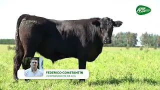 Mercado ganadero 12/01/26 - Federico Constantin