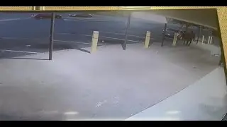 City Gear Break-in
